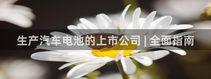 优发国际官网手机版
