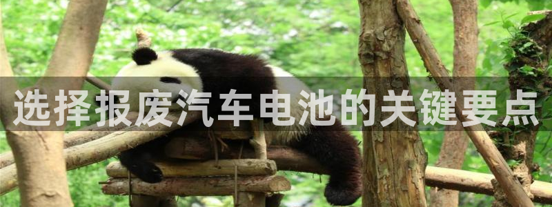 优发国际官方网手机版下载安卓