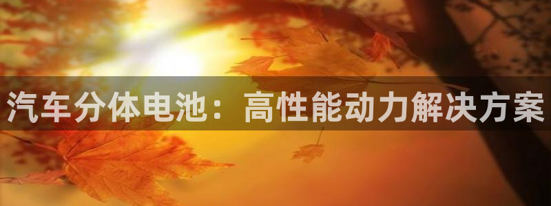 优发国际手机版官网入口