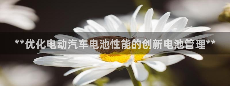 优发国际官网下载app