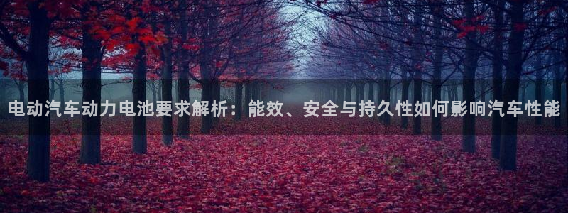 优发国际手机版唯一官网下载