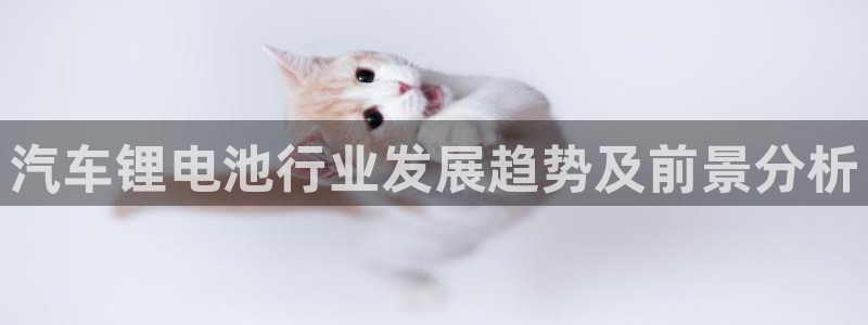 优发国际多少钱