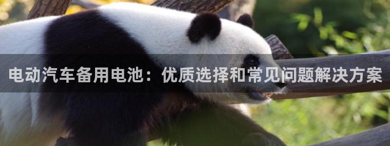 优发国际手机app下载安装官网