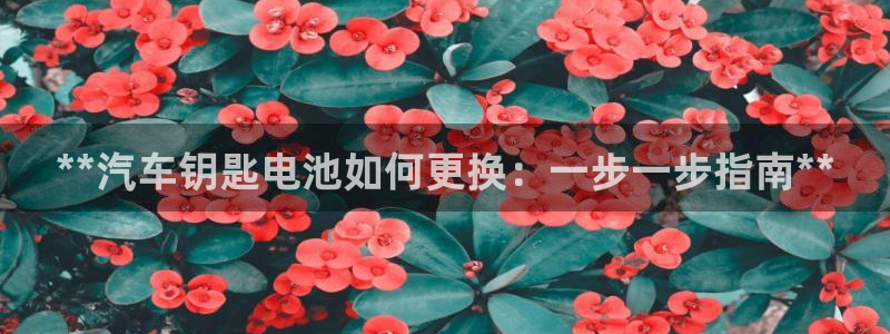 优发国际手机版客户端官网
