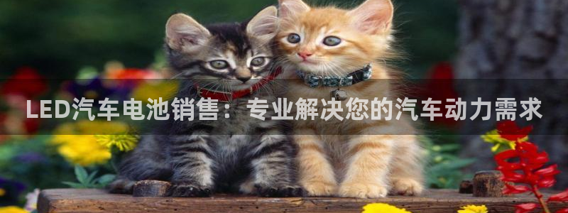 优发国际官网qy88