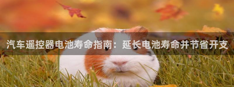 优发国际顶级