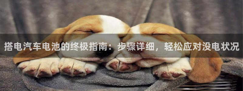 优发娱乐官网地址