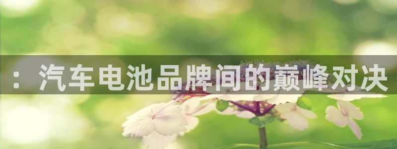 优发国际官方网手机版app