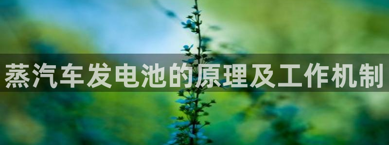 优发国际官网网站