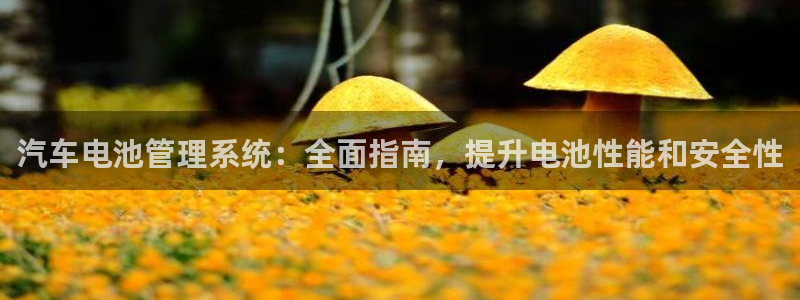 优发国际安卓版下载安装