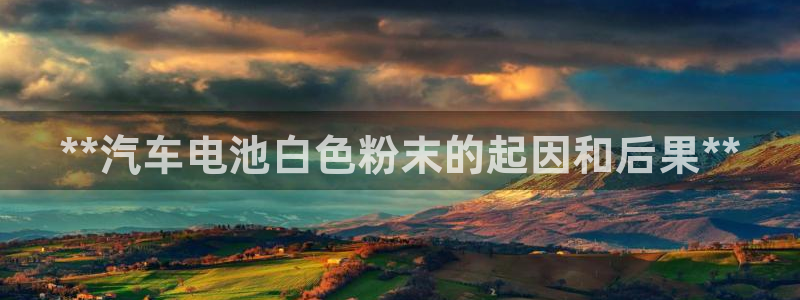 优发国际平台网站