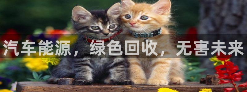 优发国际官网手机版入口