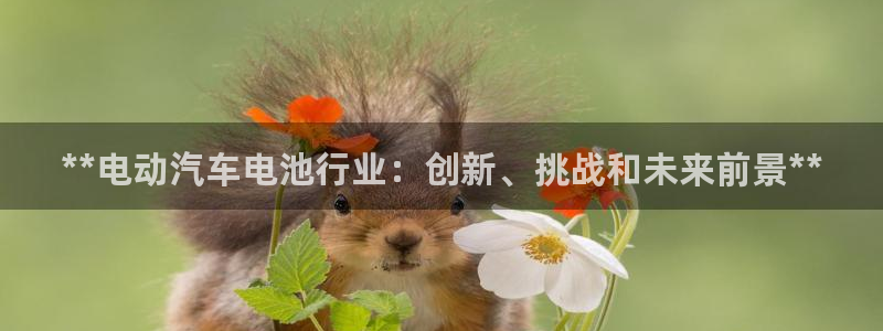 优发国际怎么样