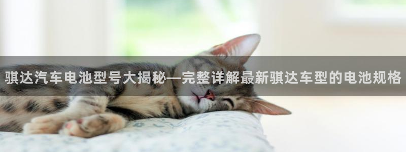 优发国际手机app下载安装
