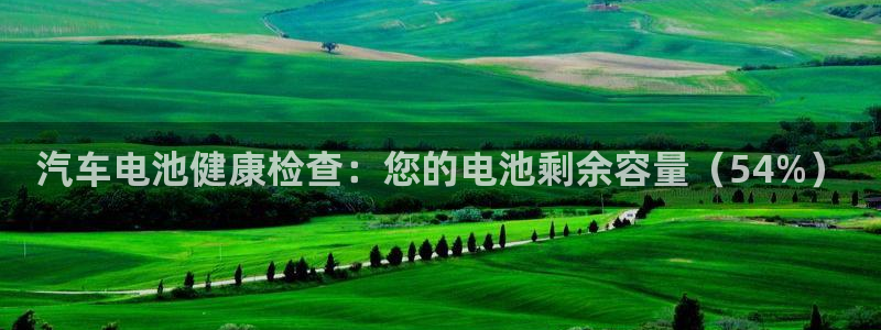 优发国际是大平台吗