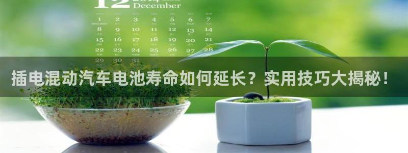优发国际最新网站下载