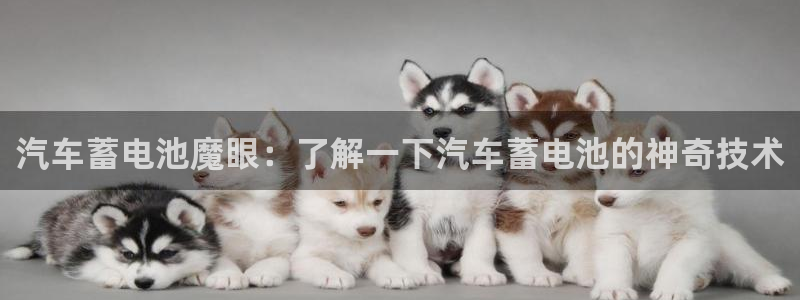 优发国际官网下载手机版