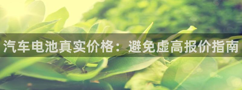 优发国际手机版网站入口