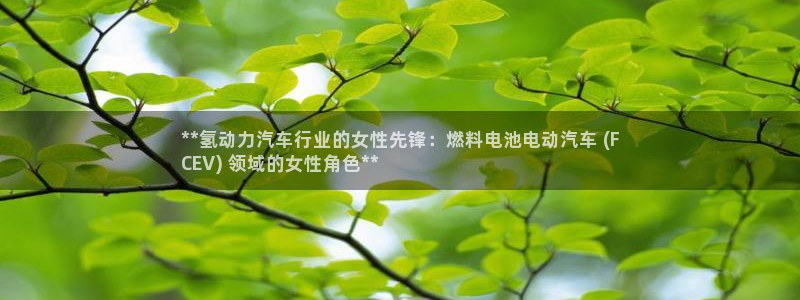 优发国际官网值是多少