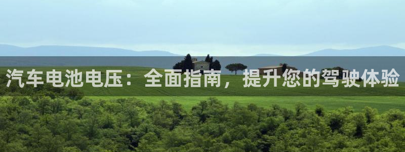 优发国际集团股份有限公司