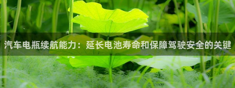 优发国际官方网手机版下载安装