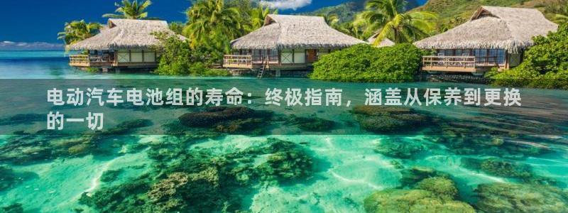 优发国际随优而动一触即发