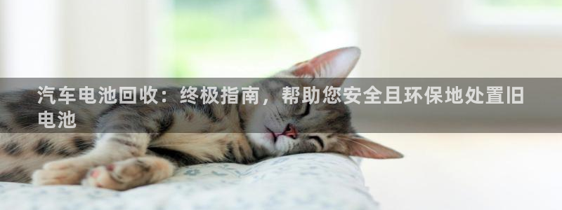 优发国际平台u8是什么