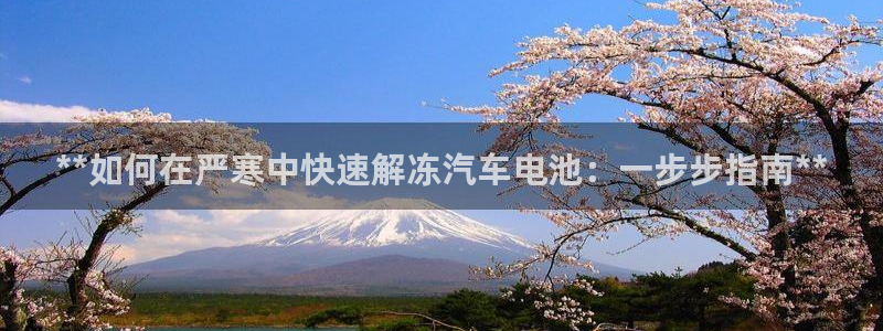 优发国际怎么样