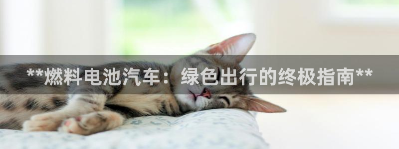 优发国际手机app下载安装苹果