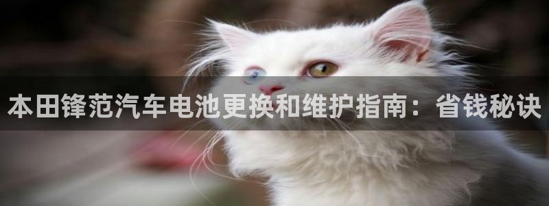 优发国际平台app下载官网