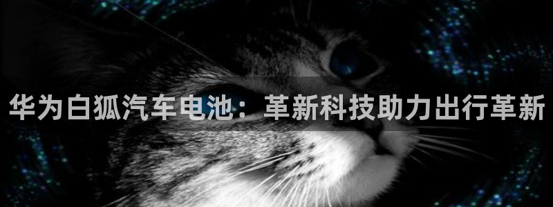 优发国际集团股份有限公司招聘