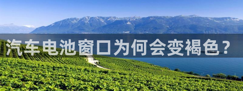 优发国际平台u8是什么公司