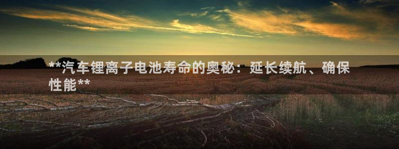 优发国际注册平台：**汽车锂离子电池寿命的奥秘：延长续航、确保
性能**