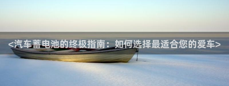 优发国际手机版客户端：<汽车蓄电池的终极指南：如何选择最适合您的爱车>
