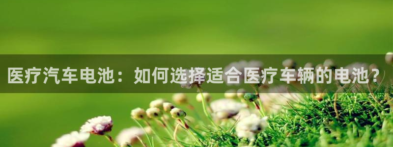 优发国际app官网下载安装苹果：医疗汽车电池：如何选择适合医疗车辆的电池？