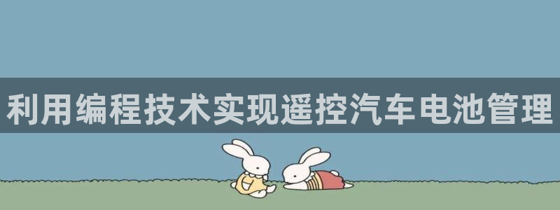 优发国际的网站是：利用编程技术实现遥控汽车电池管理