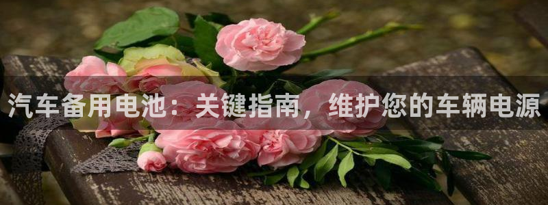 优发国际是合法的吗安全吗：汽车备用电池：关键指南，维护您的车辆电源