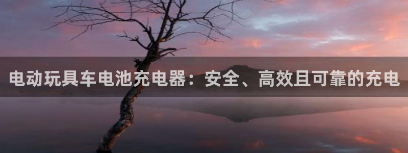 优发游戏官网：电动玩具车电池充电器：安全、高效且可靠的充电