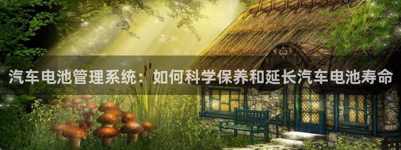 优发国际官网手机版app：汽车电池管理系统：如何科学保养和延长汽车电池寿命