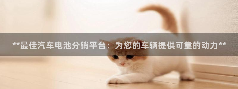 优发国际手机客户端下载不了：**最佳汽车电池分销平台：为您的车辆提供可靠的动力**