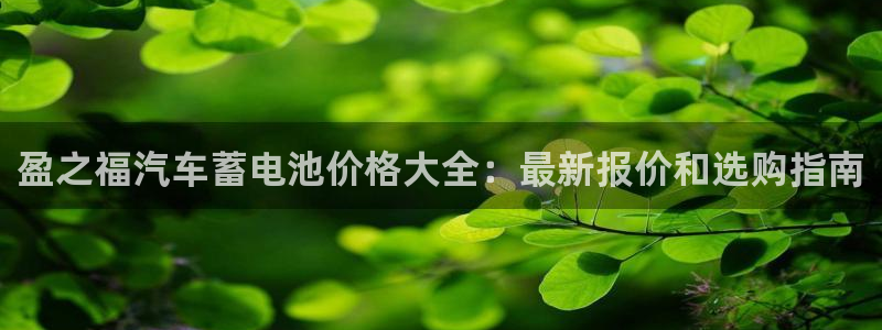 优发国际平台18：盈之福汽车蓄电池价格大全：最新报价和选购指南