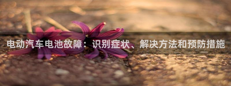 优发国际手机客户端app：电动汽车电池故障：识别症状、解决方法和预防措施