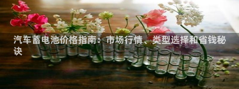 优发国际app登录密码：汽车蓄电池价格指南：市场行情、类型选择和省钱秘
诀
