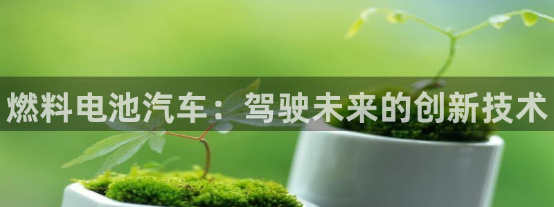 优发国际官方网
