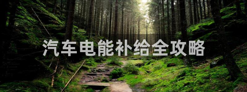 优发国际官方网平台是正品吗：汽车电能补给全攻略