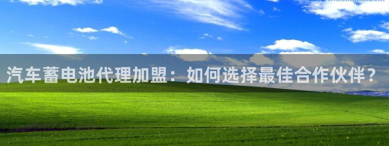 优发国际官方网手机版下载苹果：汽车蓄电池代理加盟：如何选择最佳合作伙伴？