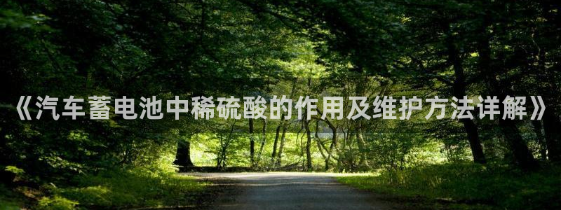 优发国际网站多少：《汽车蓄电池中稀硫酸的作用及维护方法详解》
