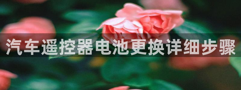 优发国际游戏网站：汽车遥控器电池更换详细步骤