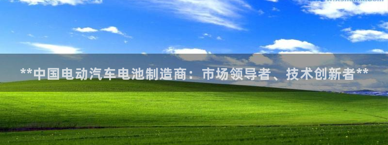 优发国际平台：**中国电动汽车电池制造商：市场领导者、技术创新者**