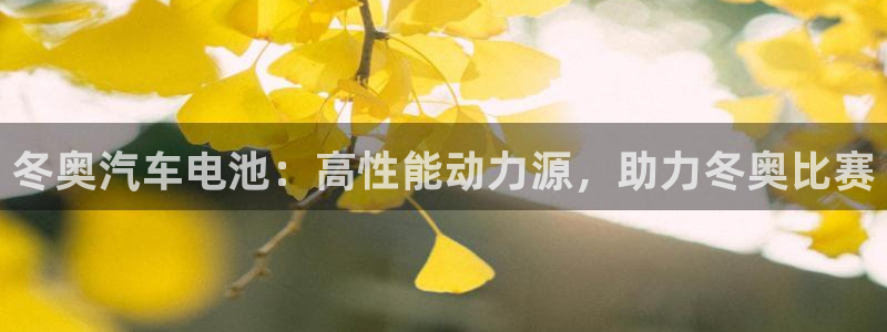优发国际注册平台怎么样：冬奥汽车电池：高性能动力源，助力冬奥比赛